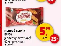 Penny Market MEDOVÝ PERNÍK ENJOY, 60 g nabídka