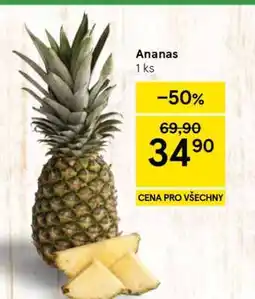 Tesco Ananas nabídka