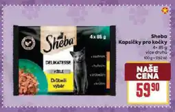 Billa Sheba kapsičky pro kočky nabídka