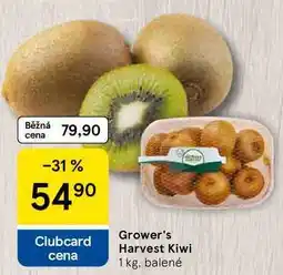 Tesco Grower's Harvest Kiwi, 1 kg, balené nabídka