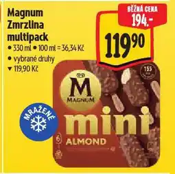 Albert Magnum zmrzlina nabídka