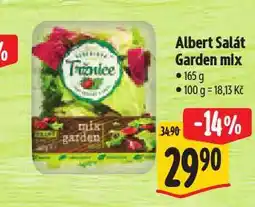 Albert Salát garden mix nabídka