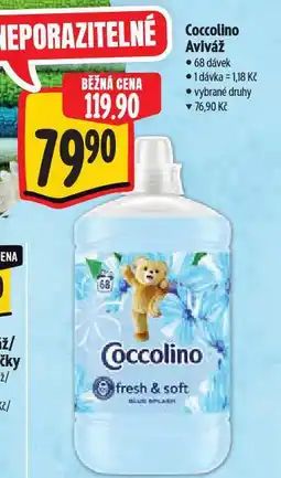 Albert Coccolino aviváž nabídka