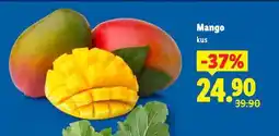 Lidl Mango nabídka