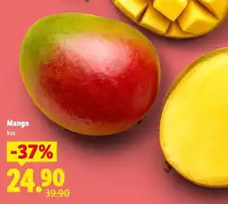 Lidl Mango nabídka