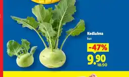 Lidl Kedlubna nabídka