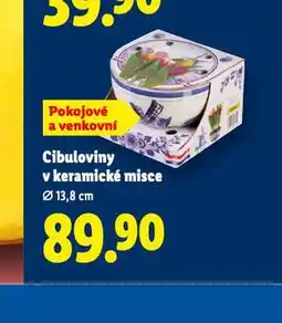 Lidl Cibuloviny v keramické misce nabídka