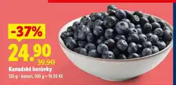 Lidl Kanadské borůvky nabídka