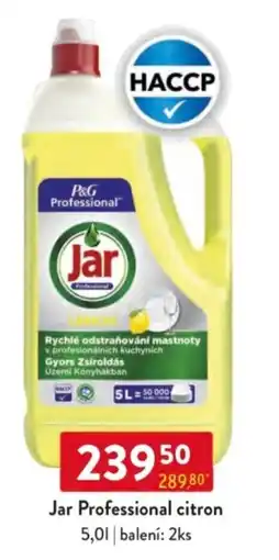 Qanto Jar Professional citron nabídka