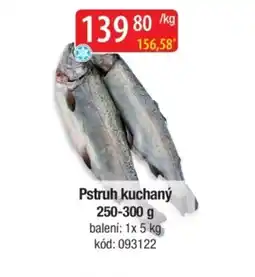 Qanto Pstruh kuchaný nabídka