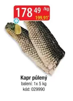 Qanto Kapr půlený nabídka