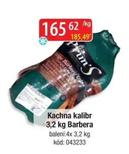 Qanto Kachna kalibr nabídka