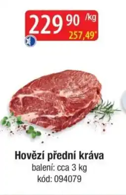 Qanto Hovězí přední kráva nabídka