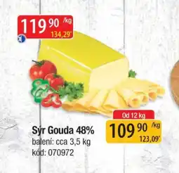 Qanto Sýr gouda 48% nabídka