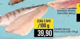 Jip Candát obecný filet s kůží (120-170 g) 100g nabídka