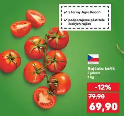Kaufland Rajčata keřík nabídka