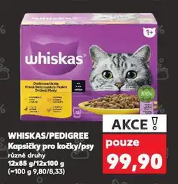 Kaufland Pedigree kapsičky pro psy nabídka