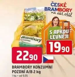 Trefa BRAMBORY KONZUMNÍ POZDNÍ A/B 2 kg nabídka