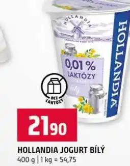 Terno HOLLANDIA JOGURT BÍLÝ 400 g nabídka