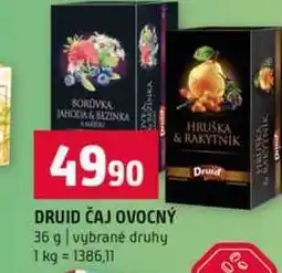 Terno DRUID ČAJ OVOCNÝ 36 g vybrané druhy nabídka