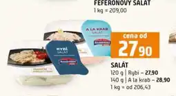 Terno SALÁT 120 g nabídka