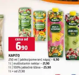 Terno Kapito 250ml 1l nabídka