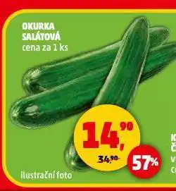 Penny Market Okurka salátová nabídka