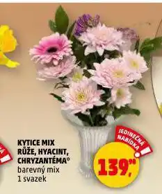 Penny Market Kytice mix nabídka