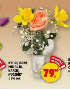 Penny Market Kytice jarní mix nabídka