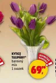 Penny Market Kytice tulipány nabídka