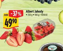 Albert Albert Jahody 250 g nabídka