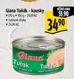 Albert Giana Tuňák - kousky 170 g nabídka