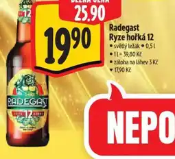Albert Radegast Ryze hořká 12 nabídka