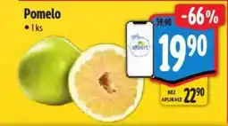 Albert Pomelo nabídka