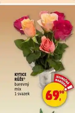 Penny Market KYTICE RŮŽE, 1 svazek nabídka