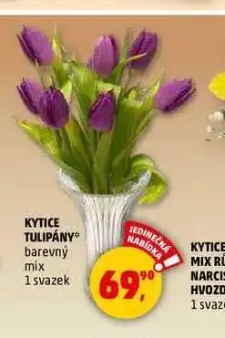 Penny Market KYTICE TULIPÁNY, 1 svazek nabídka
