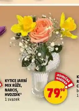 Penny Market KYTICE JARNÍ MIX RŮŽE, NARCIS, HVOZDÍK, 1 svazek nabídka