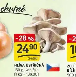 Flop HLÍVA ÚSTŘIČNÁ 150g nabídka