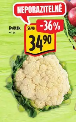 Albert Květák nabídka