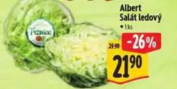Albert Albert Salát ledový nabídka