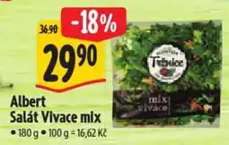 Albert Albert Salát Vivace mix nabídka