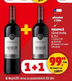 Penny Market Tarapacá nabídka