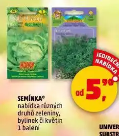 Penny Market Semínka nabídka