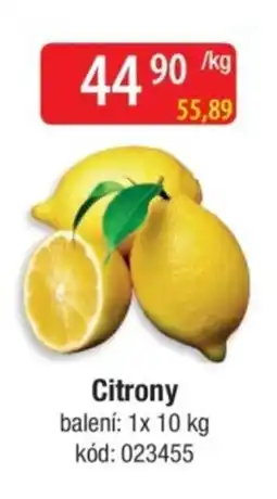 Qanto Citrony nabídka