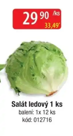 Qanto Salát ledový 1 ks nabídka