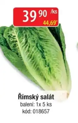 Qanto Římský salát nabídka