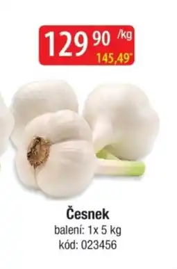 Qanto Česnek nabídka