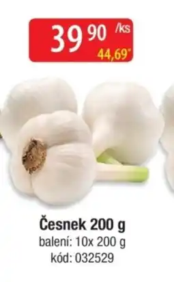 Qanto Česnek nabídka