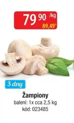 Qanto Žampiony nabídka