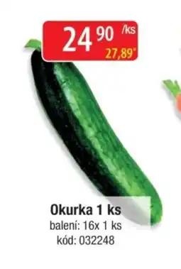 Qanto Okurka 1 ks nabídka